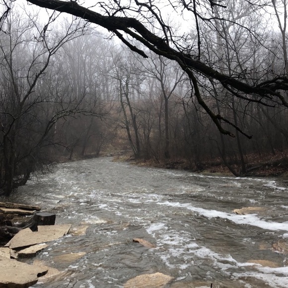 Vampxyz - Picture 3 of 14